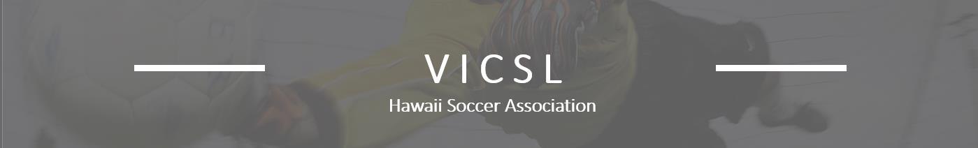 V I C S L banner